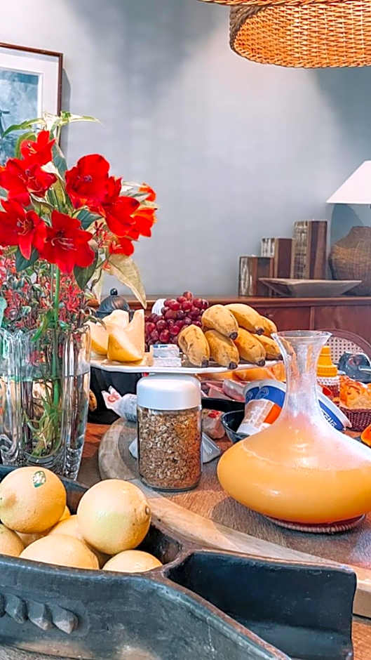 Exclusive Oásis by Lotta De Macedo Soares