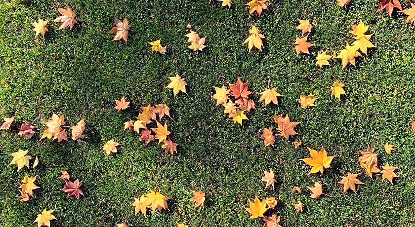 Hotel Romlus Rusutsu