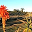 African Flair Country Lodge