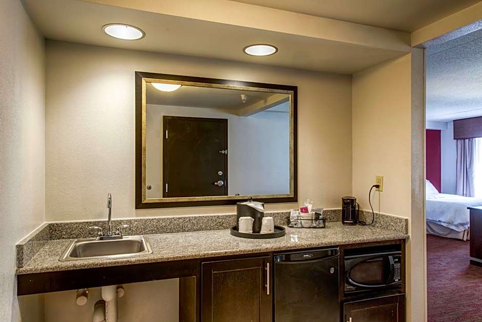 Hampton Inn By Hilton And Suites Detroit/Airport-Romulus