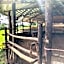 Cabañas el Pajar