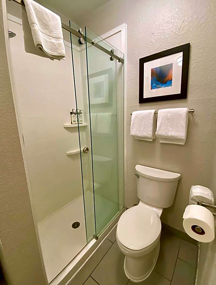 Holiday Inn Express Metropolis By IHG