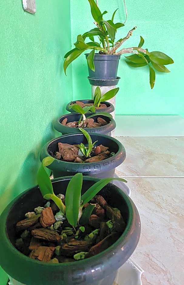 Ambiente ideal para famílias, casa conjulgada com Wi-Fi rápido, cozinha exclusiva e equipada, varanda com churrasqueira - A apenas 1 km da praia e 5 km da charmosa Praia da Vila