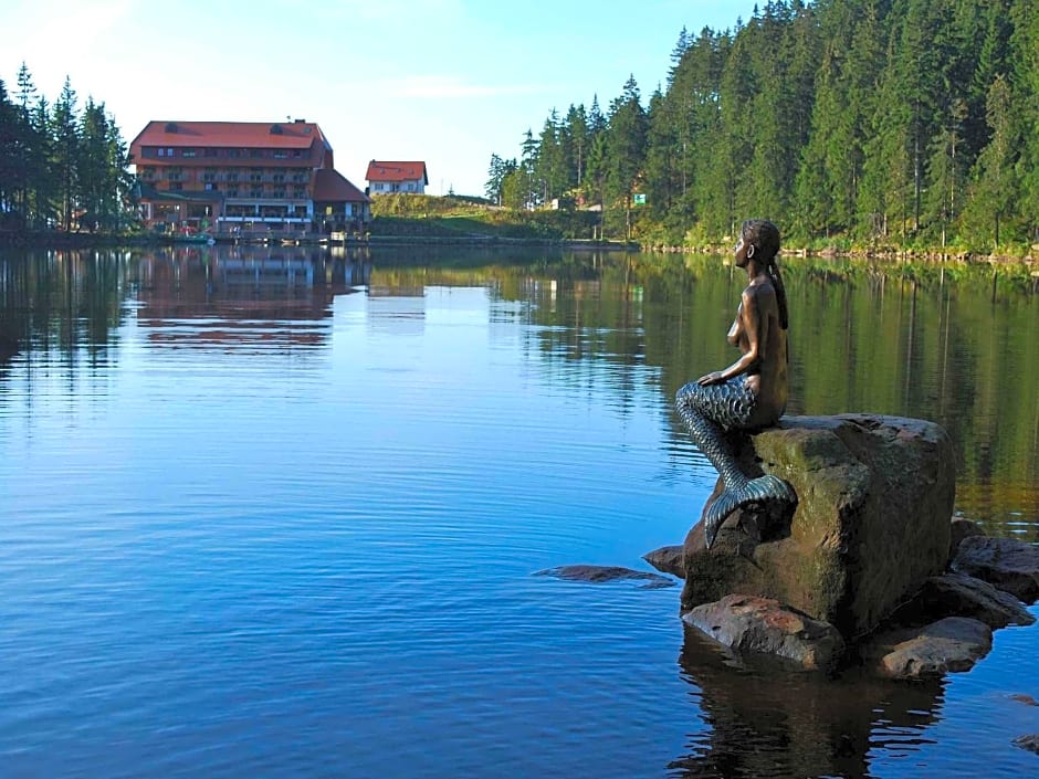 Berghotel Mummelsee