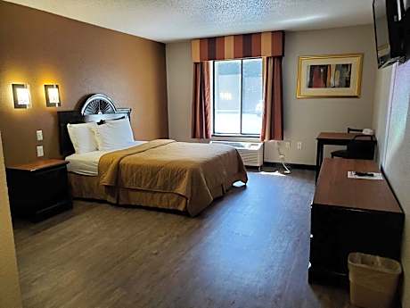 Queen Room - Handicap