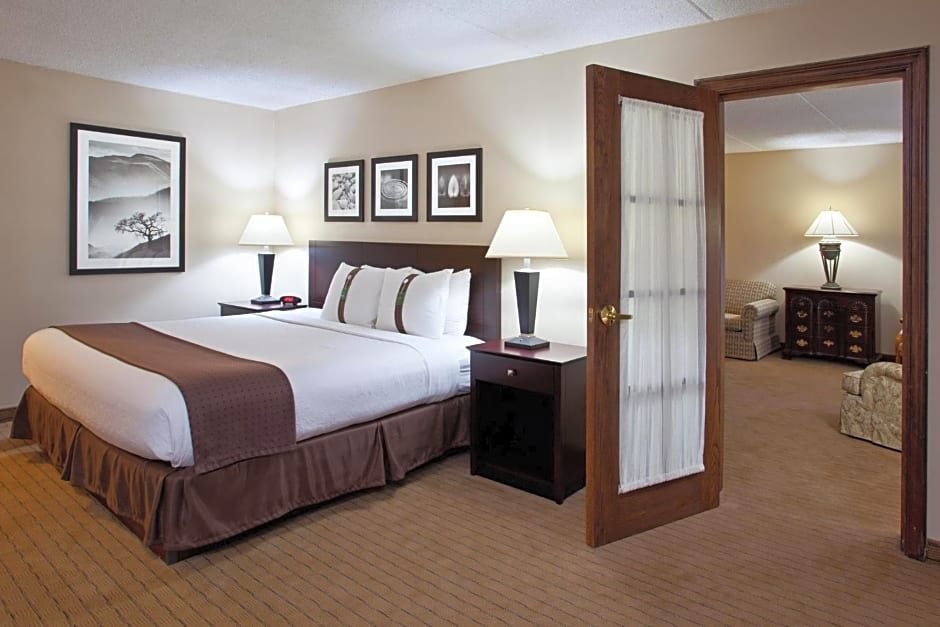 Holiday Inn Canton-Belden Village By IHG