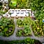 Villa Panoramica - Ischia Ponte