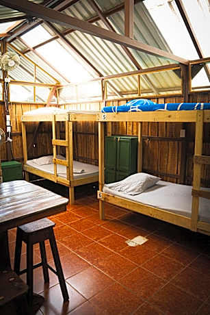 Bunk Bed in Female Dormitory Room