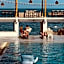 Paradise Bungalows