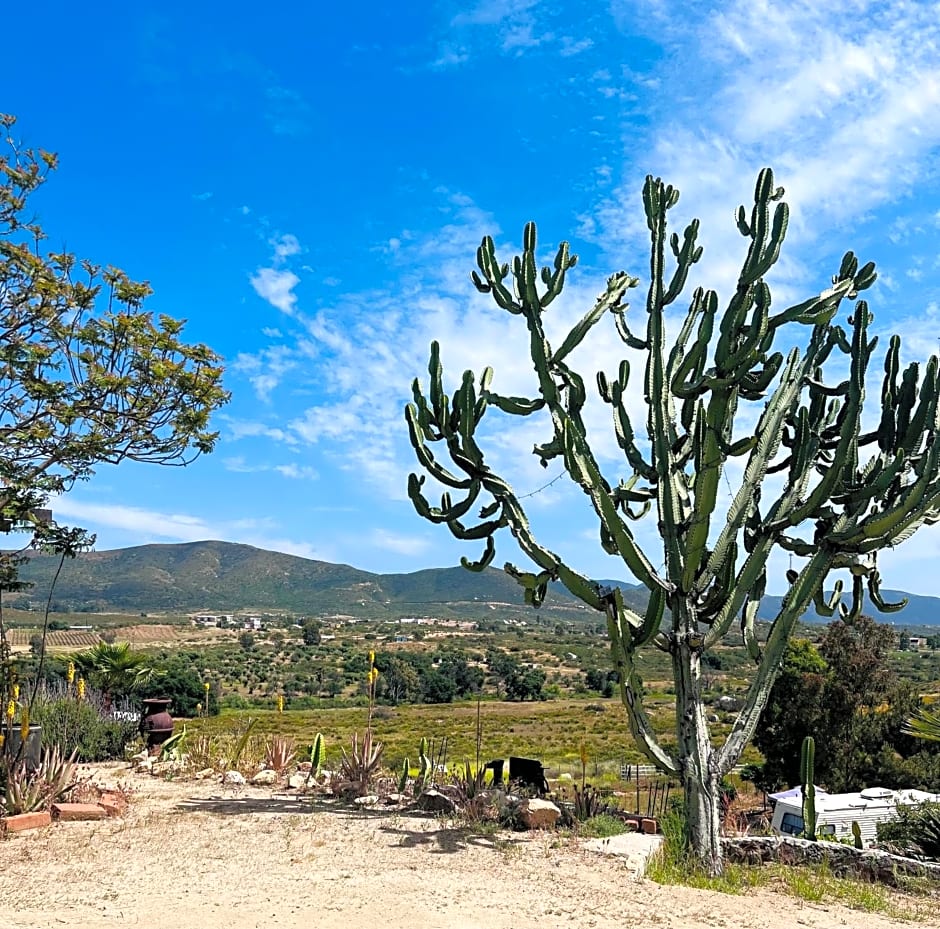 Rancho Matalote en Valle de Guadalupe