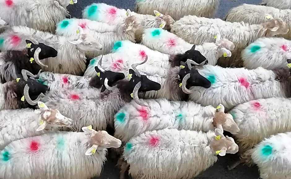 Logis Hotel Xoko-Goxoa