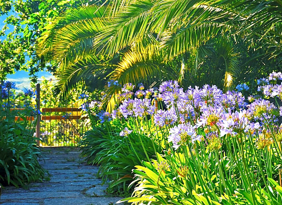 Hotel Quinta de San Amaro