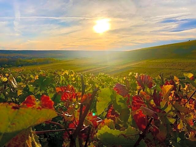 La Maison de Manolie