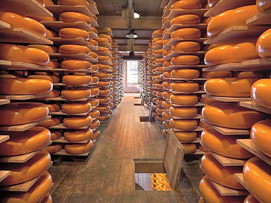 Lodges near the Rhine - Sustainable Residence