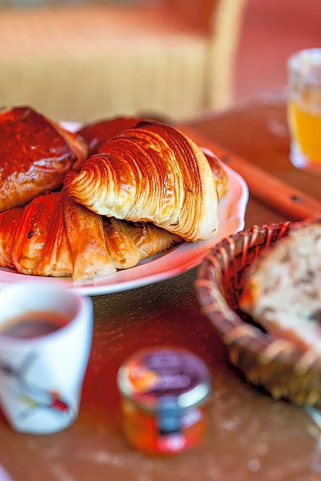 Château Saint Roux Le Luc-Le Cannet des Maures