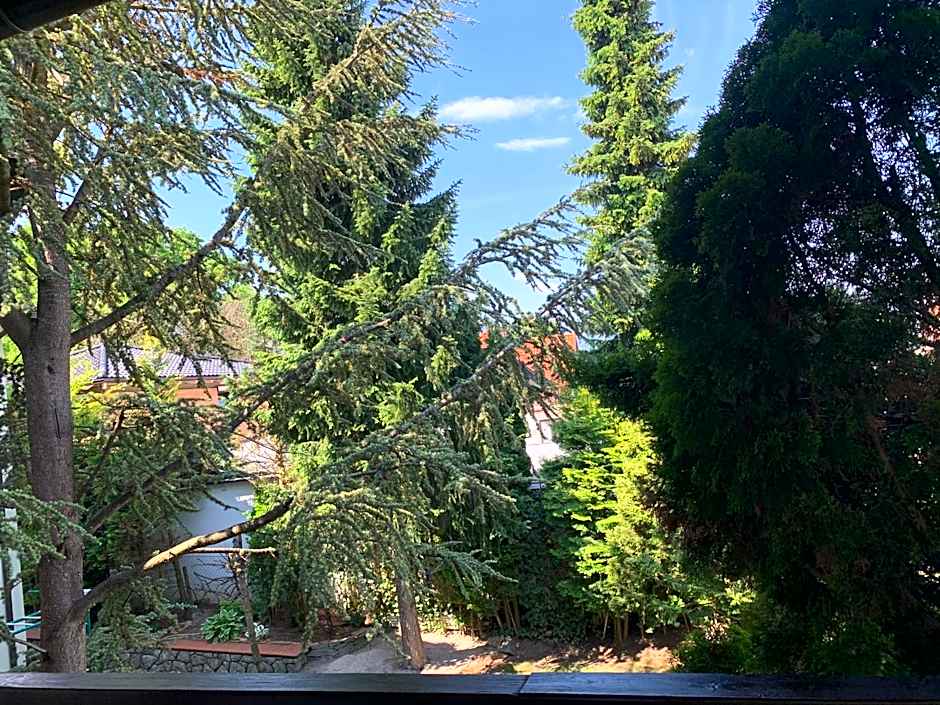 Dietrichsteinerhof Apartments & Rooms