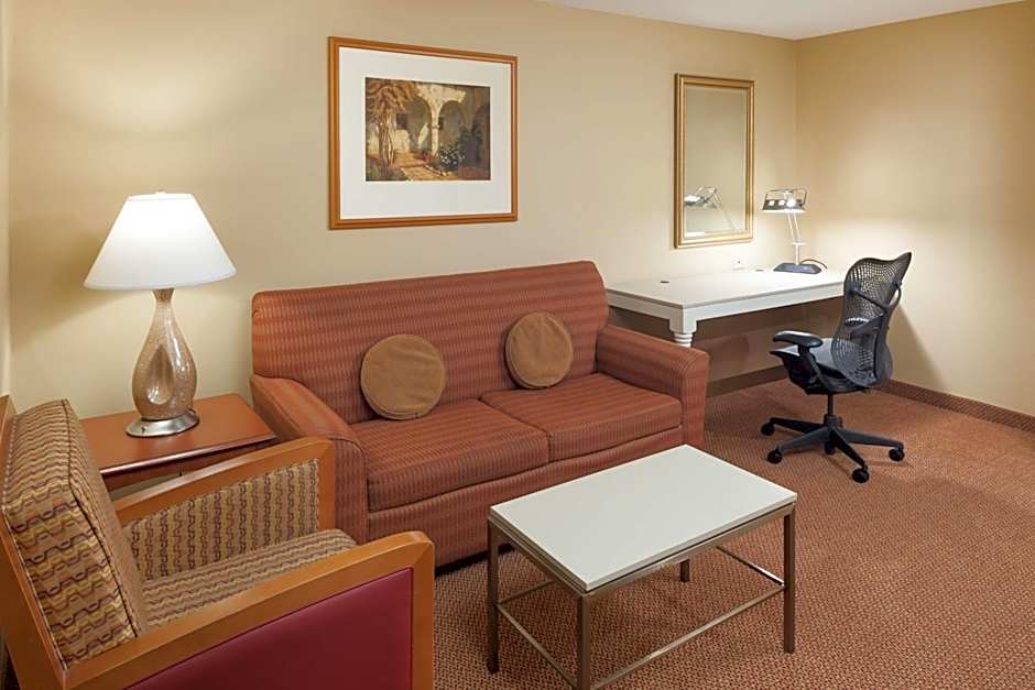 Hilton Garden Inn Mcallen