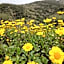 Hotel Rural Inz-Almaraz