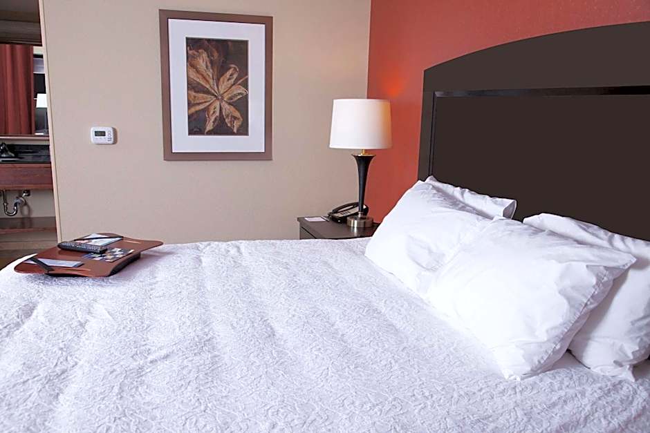Hampton Inn By Hilton and Suites Dickinson ND