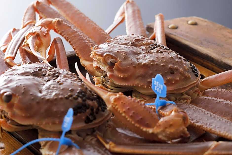 Kinosaki Onsen Oyado Seri