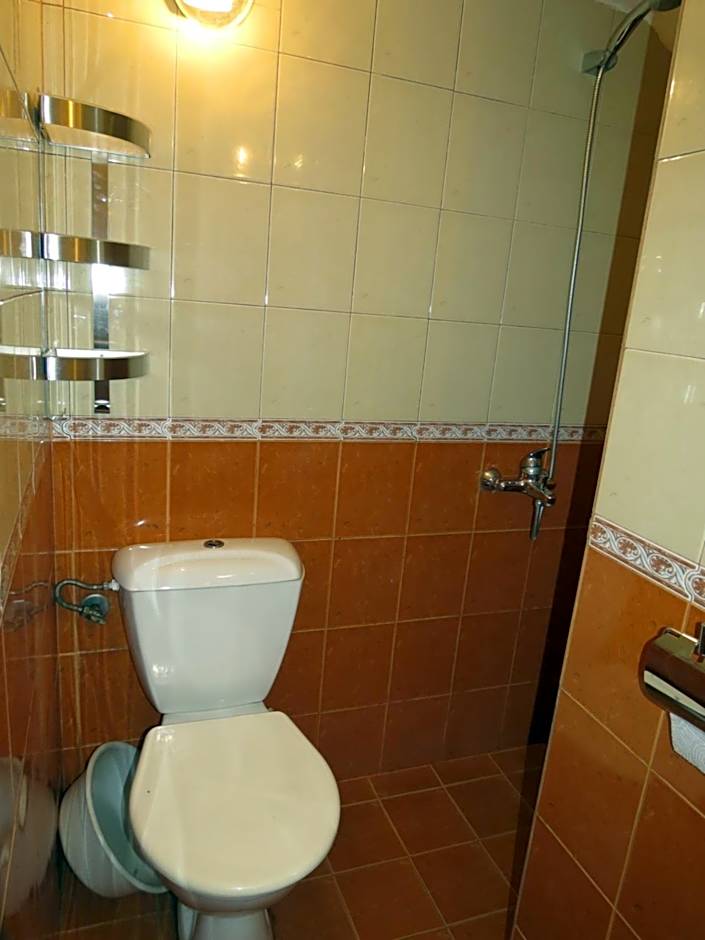 Family Hotel Lebed