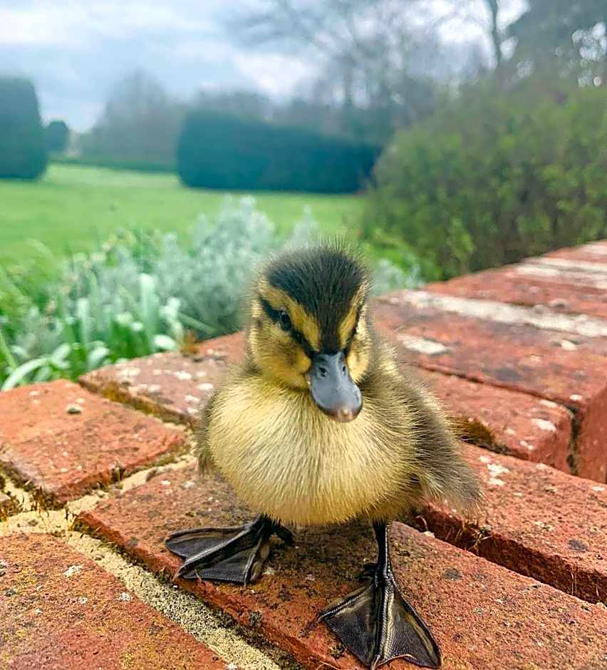 Tewinbury Farm Hotel