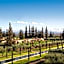 The Oberoi Marrakech