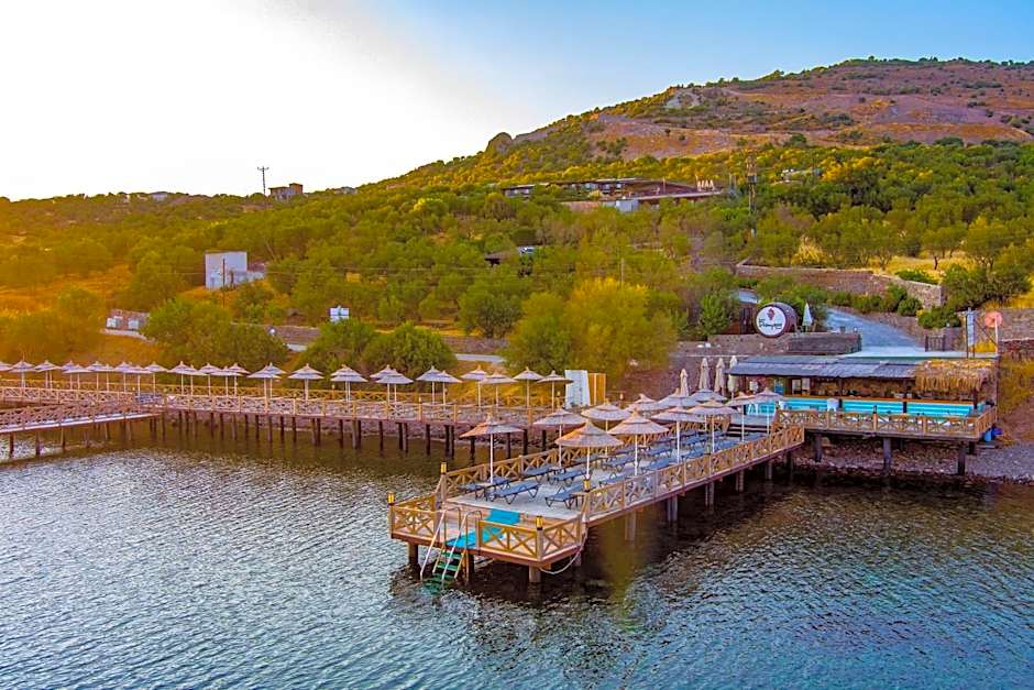 Assos Dionysos Special Class Hotel Adults Only 12 years