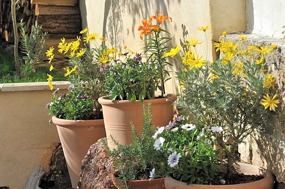 B&B Villa Du Roc Fleuri