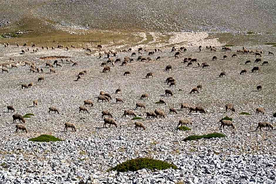 Les Terrasses de Cascavelle