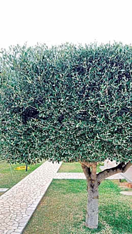 Apartment with Pool View