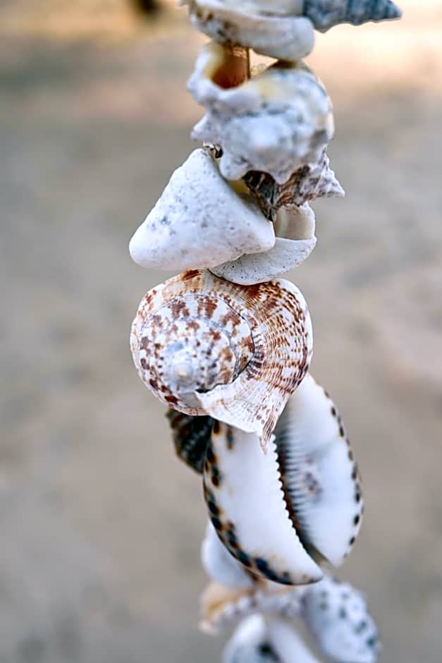 Sharazad Boutique Hotel