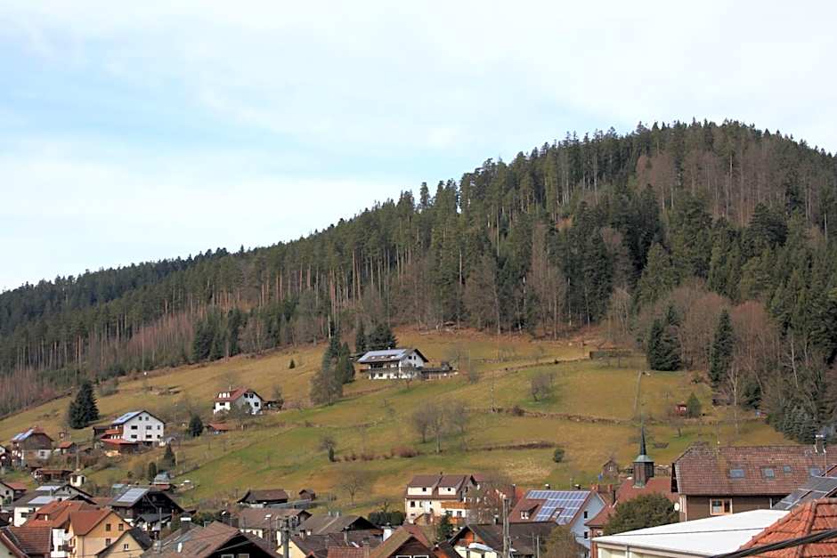 Schwarzwald-Gasthof Hirsch