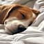 Candlewood Suites Charleston Mt Pleasant By IHG