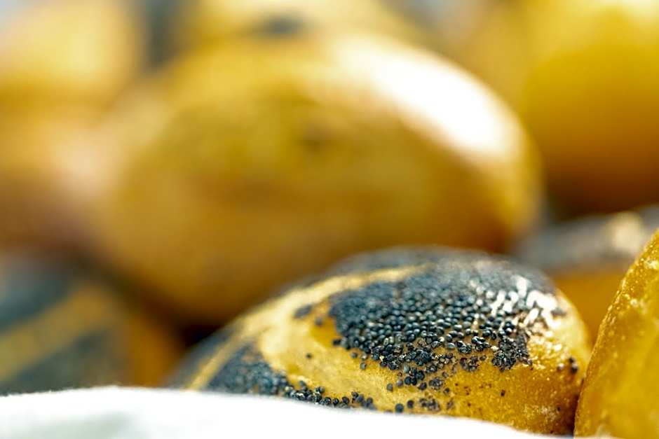 Michels Inselhotel Vier Jahreszeiten