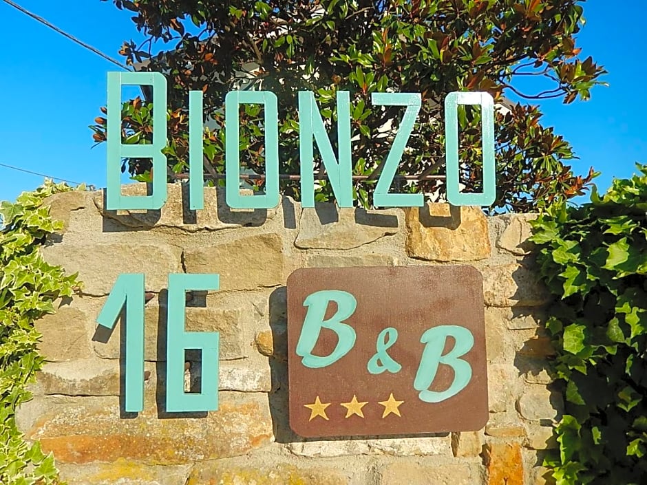 B&B Bionzo16