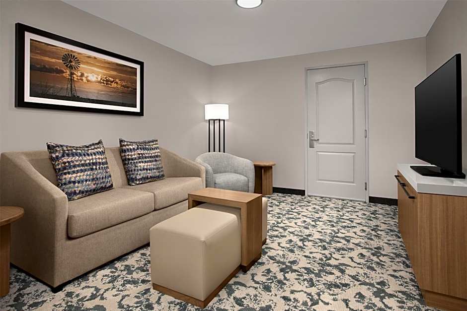 Hilton Garden Inn Dallas Lewisville