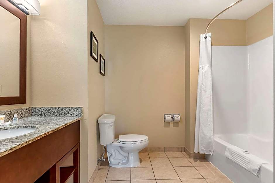 Comfort Suites Grand Rapids North