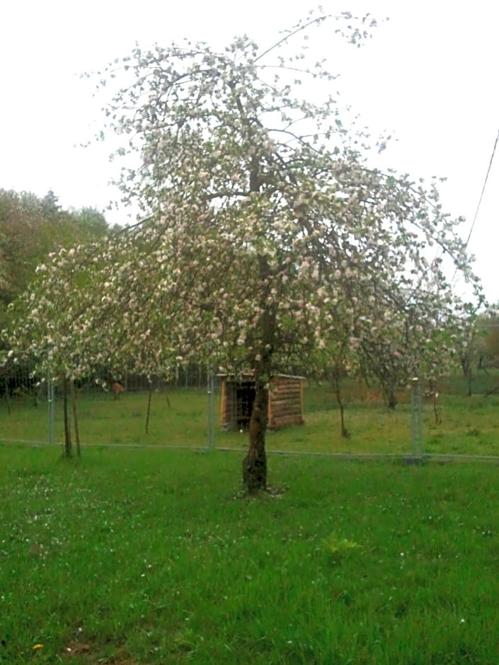 Vosges Chambres d'hotes