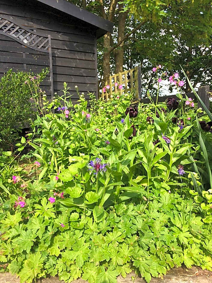 the Orangery - BnB Suites