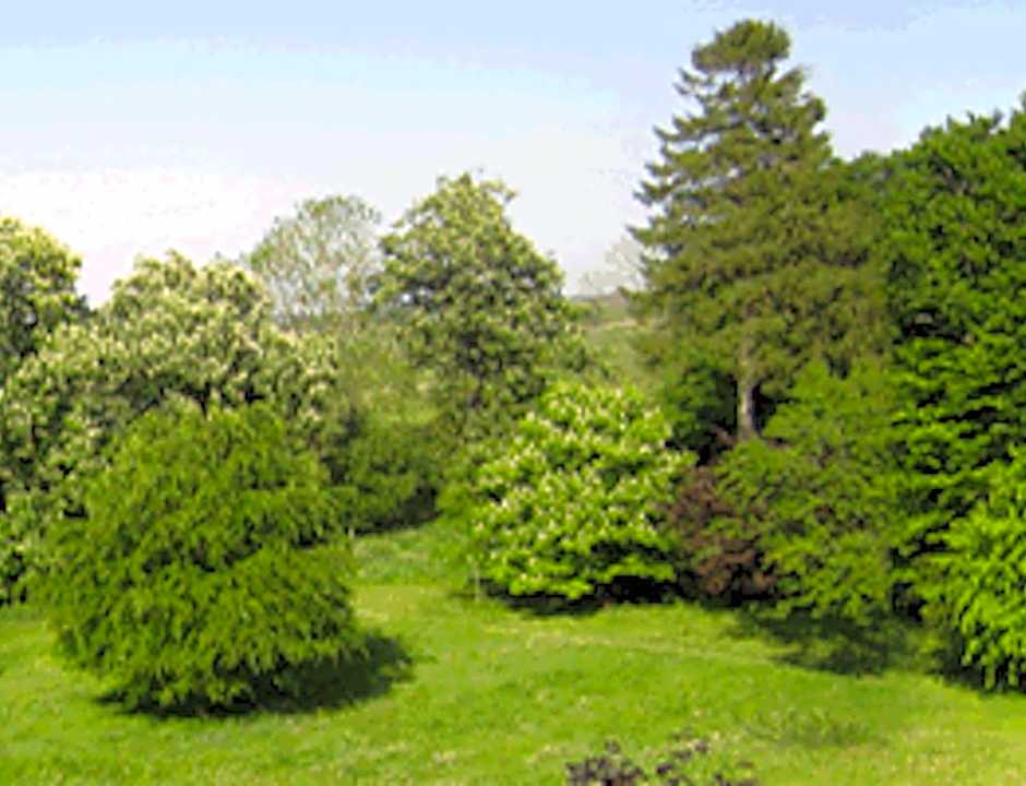 Landhotel Gut Zarrentin