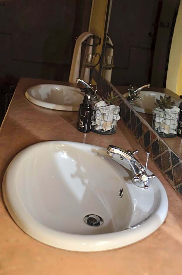 Moholoholo Forest Camp