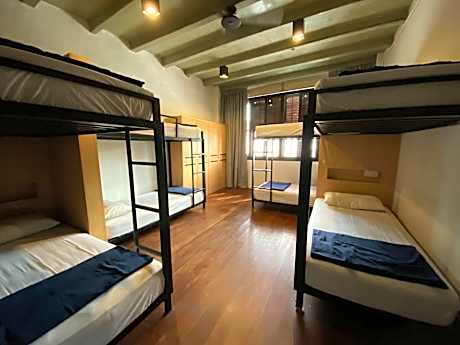 Bed in 8-Bed Mixed Dormitory Room