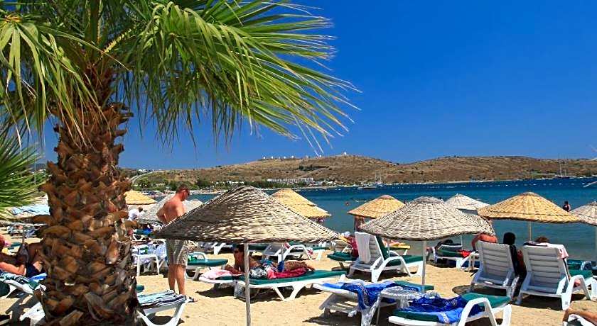 Very Chic Adult Only 18 