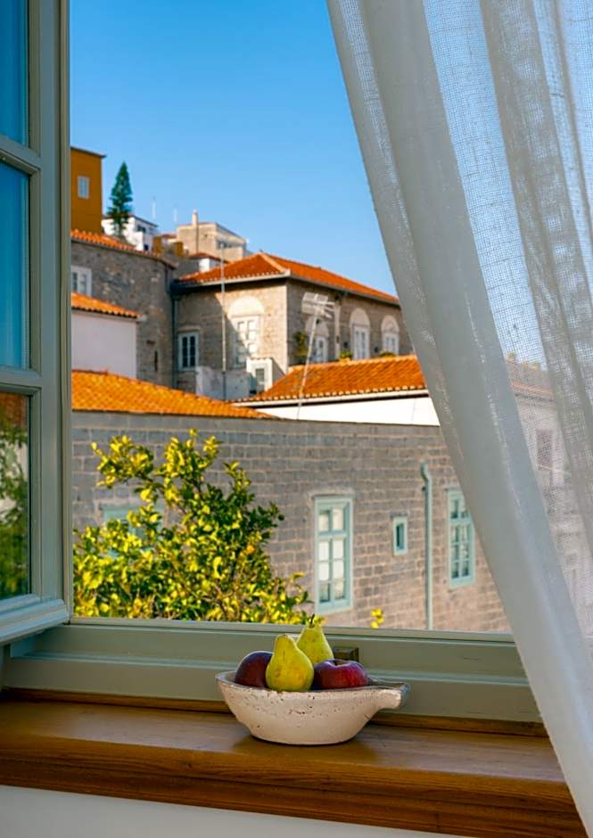 Cotommatae Hydra 1810