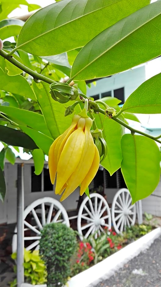 P California Inter Hostel