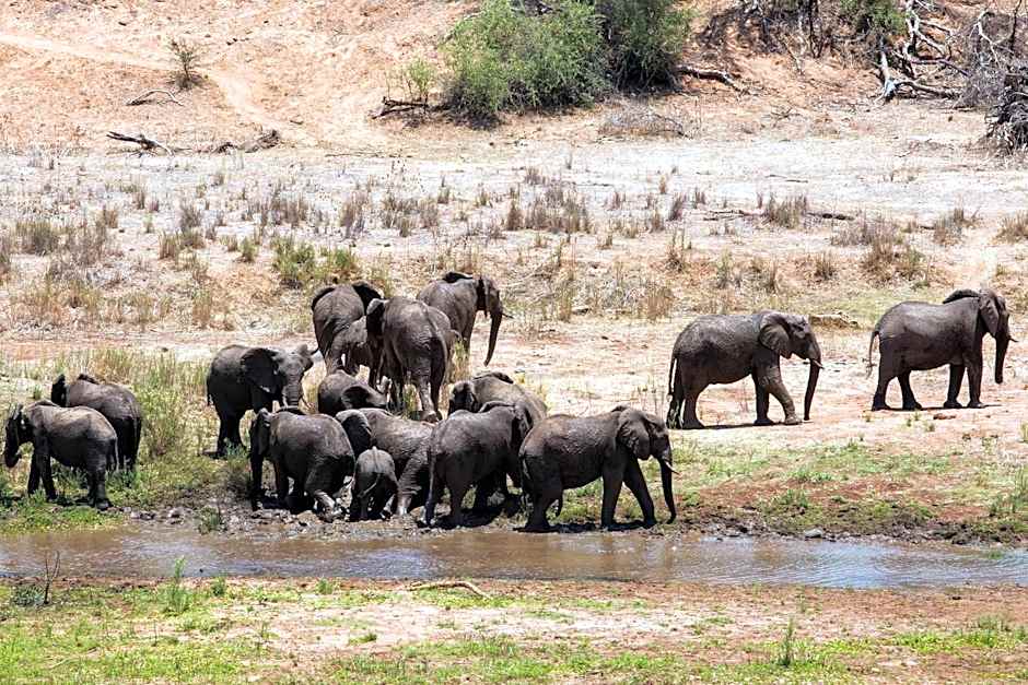 isiLimela Game Lodge