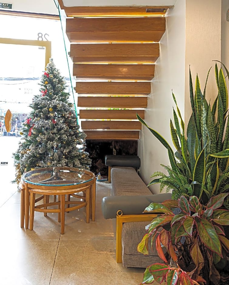 Cactusland Near Saigon Train Station