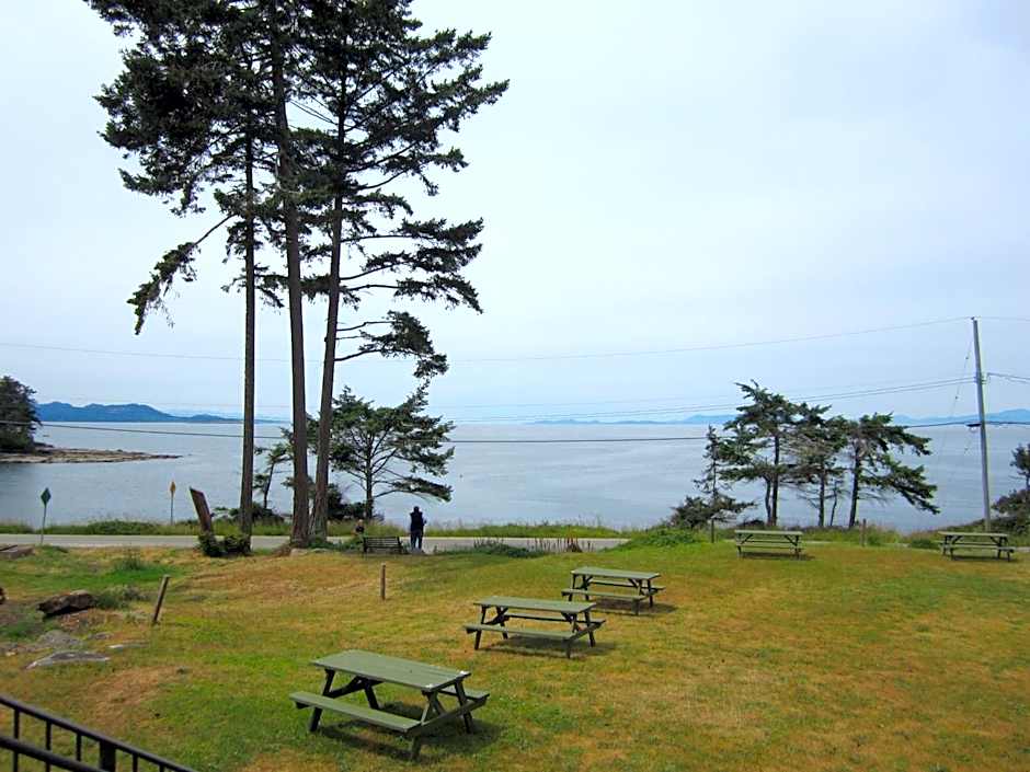 The Surf Lodge and Pub