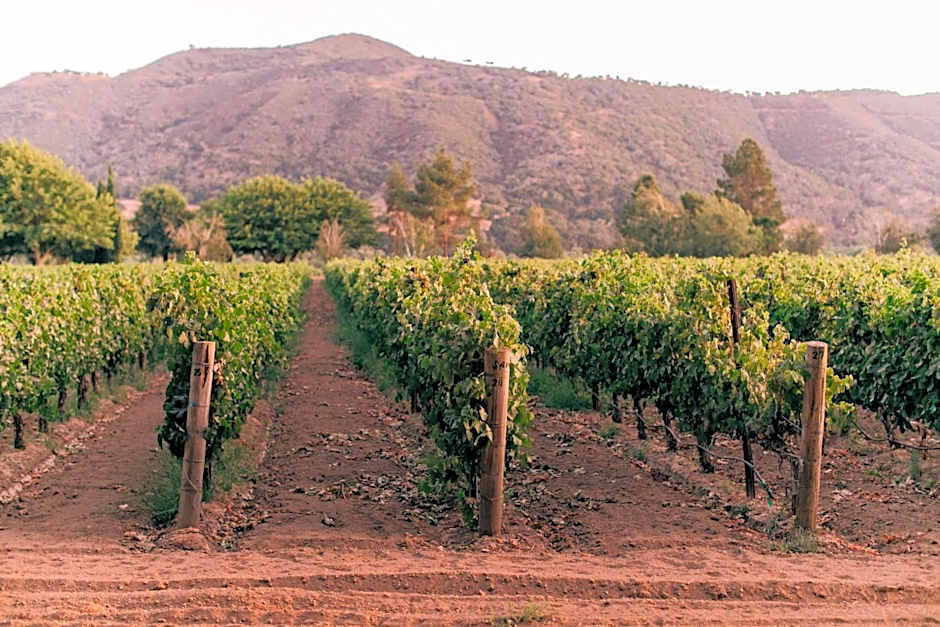 Vinland Hotel and Lounge